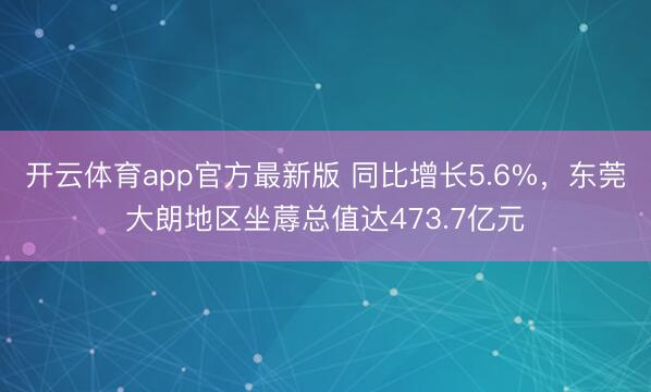 开云体育app官方最新版 同比增长5.6%，东莞大朗地区坐蓐总值达473.7亿元