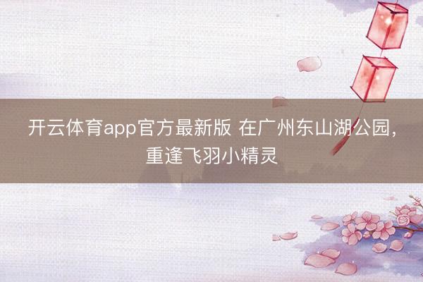 开云体育app官方最新版 在广州东山湖公园,重逢飞羽小精灵