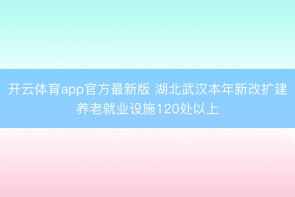开云体育app官方最新版 湖北武汉本年新改扩建养老就业设施120处以上